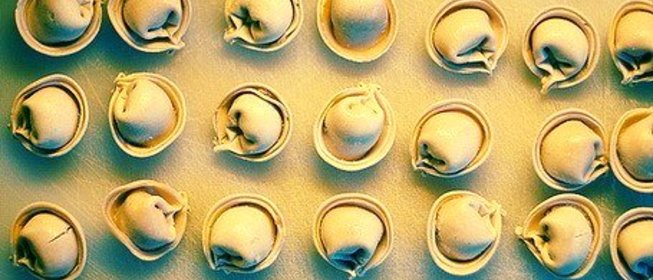 Тесто для пельменей/вареников