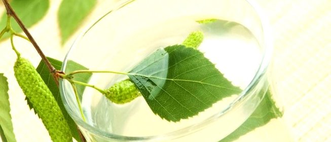 Вино из березового сока