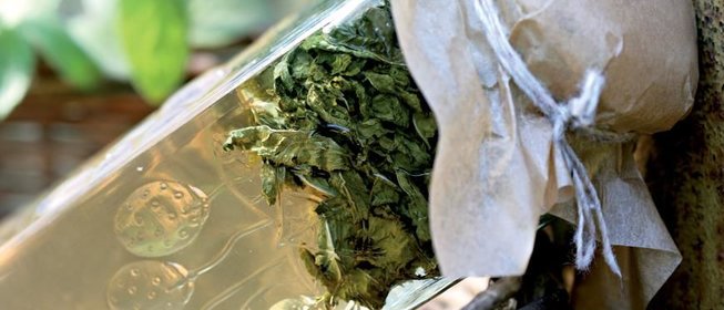 Мятное желе