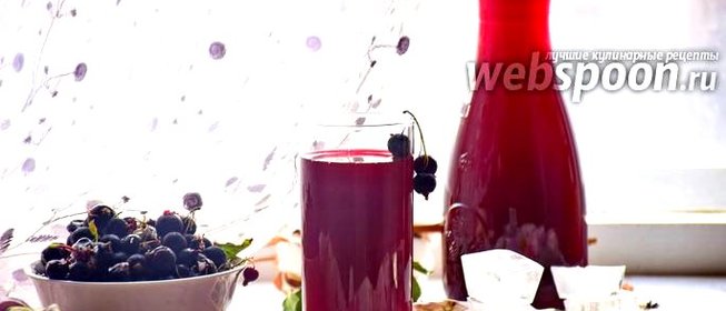 Морс из чёрной смородины