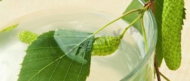 Домашний березовый квас с изюмом