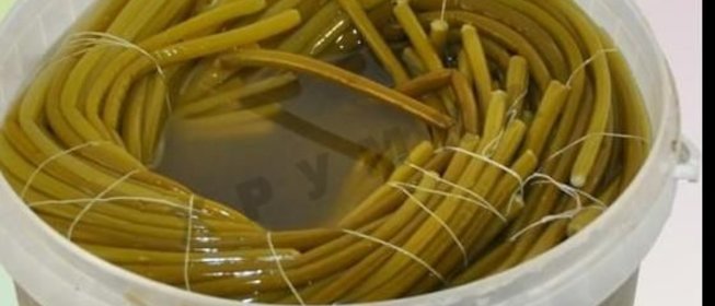 Соленая черемша