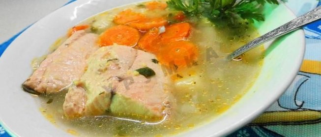 Рыбный суп уха из кеты