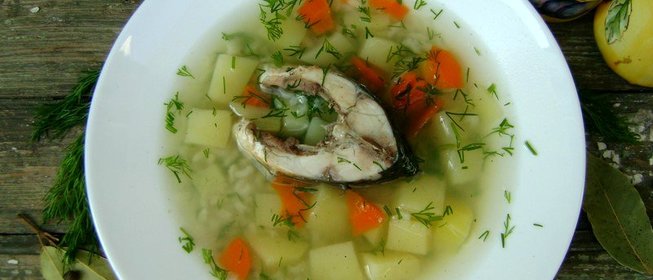 Уха из карпа