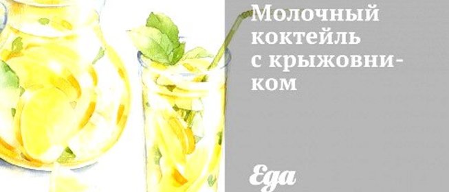 Молочный коктейль с крыжовником