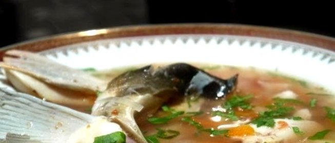 Уха из головы сазана