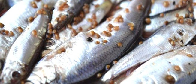 Cалака пряного посола