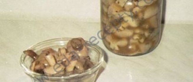 Засолка грибов холодным способом