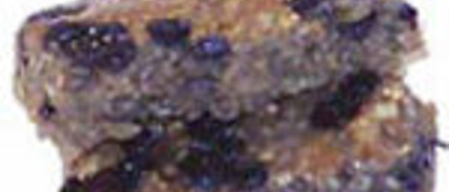 Каша гречневая с грибами