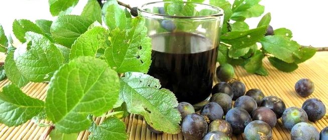 Вино из терновника