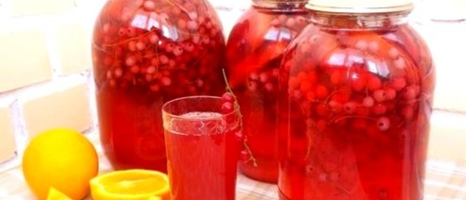 Компот из красной смородины с апельсином