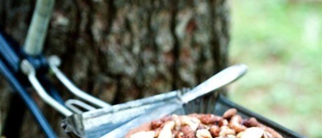 Пирог «Эспрессо» с медом и орехами