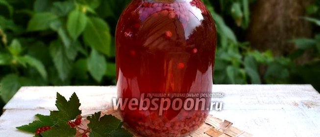 Компот из красной смородины на зиму