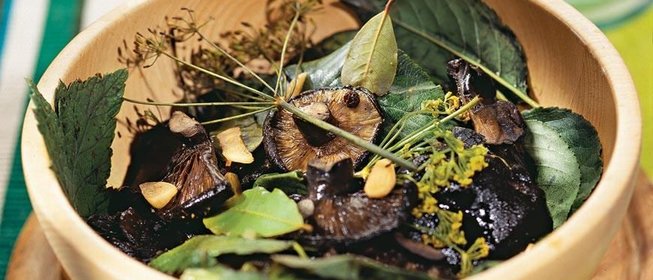 Засолка грибов. Холодный метод