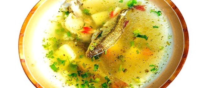 Уха из свежей речной рыбы