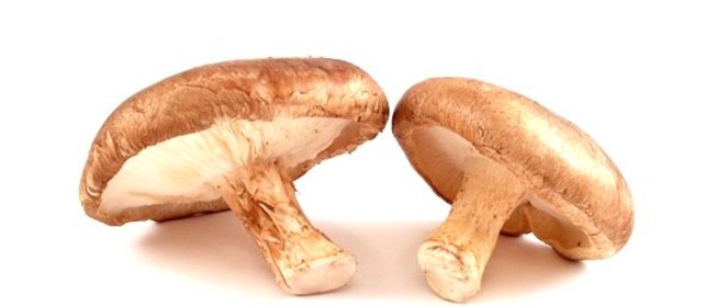 Шиитаке по-корейски