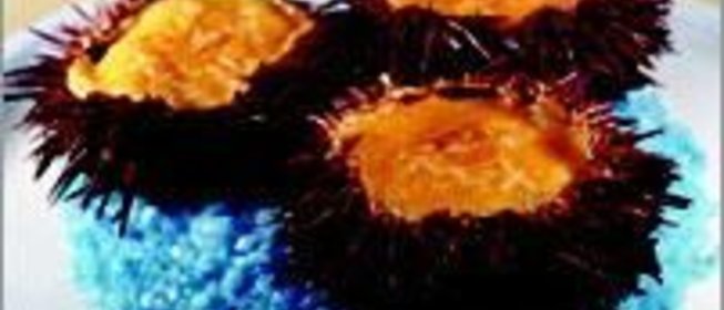 Жюльен из морского ежа