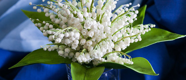 Острый салат с курицей