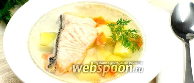 Уха из сёмги