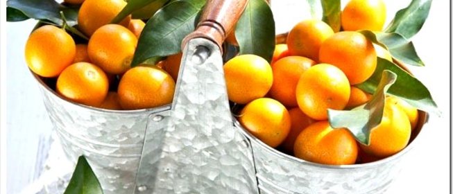 Варенье из кумквата