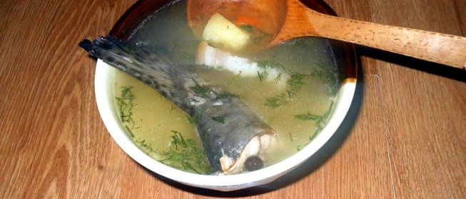 Уха из горбуши