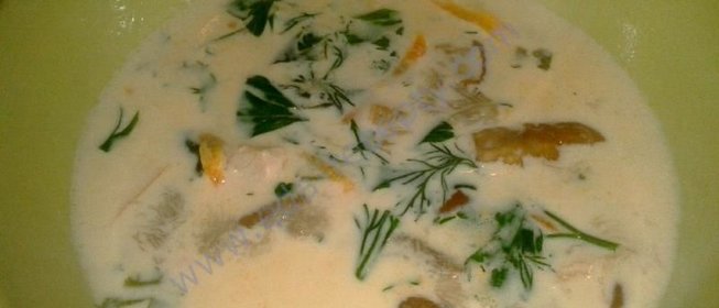 Суп из курицы с белыми грибами