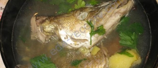 Уха щучья по-еврейски