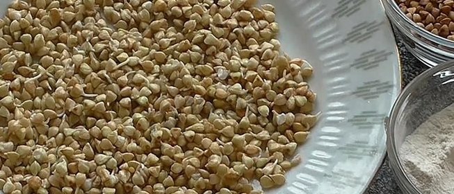 Пророщенная гречка