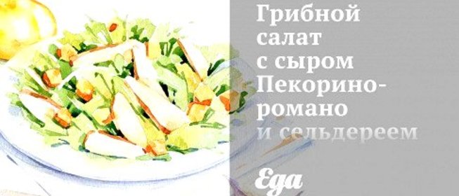 Грибной салат с сыром Пекорино-романо и сельдереем