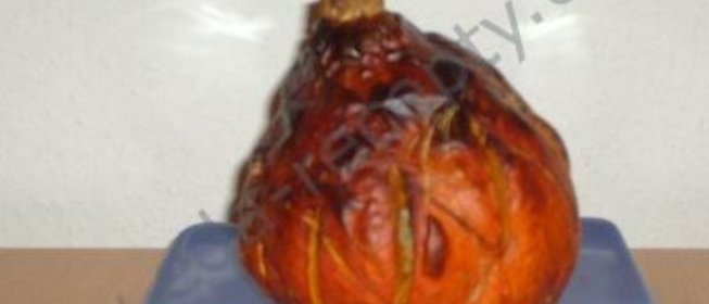 Тыква, фаршированная рисом и мясом, и со сказкой