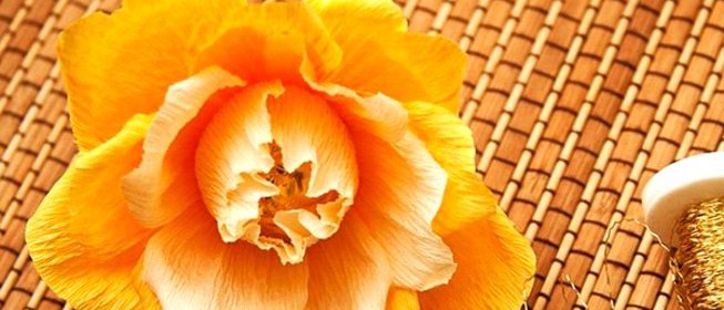 Английская роза из конфет