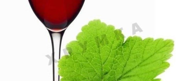 Домашнее вино из черной смородины