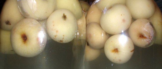 Компот из яблок на зиму