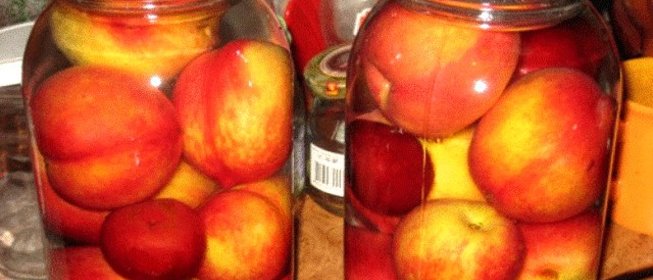 Компот из нектаринов