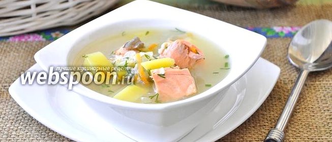 Уха из кеты