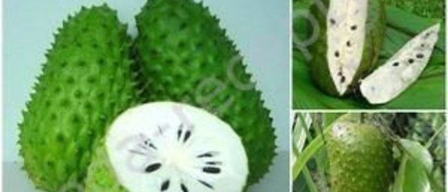 Чай с саусепом