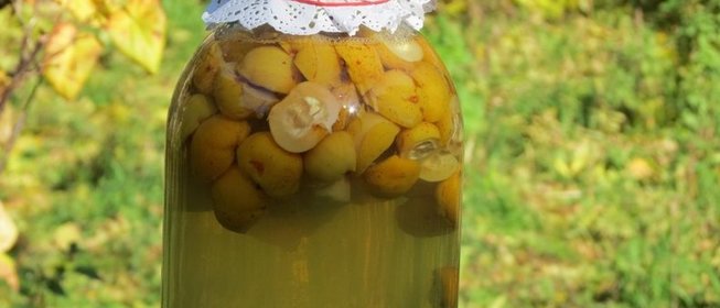 Компот из лимонника