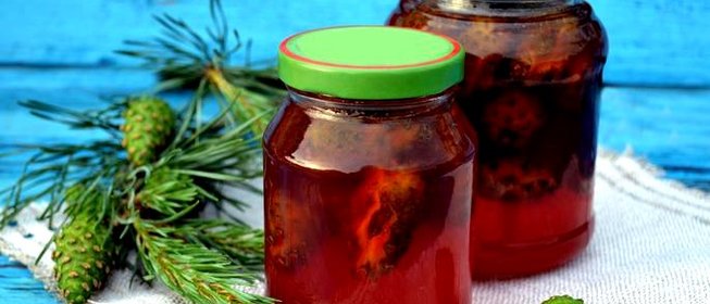 Варенье из сосновых шишек
