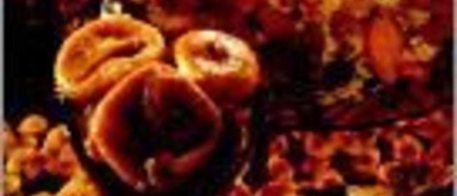 Плов фруктовый