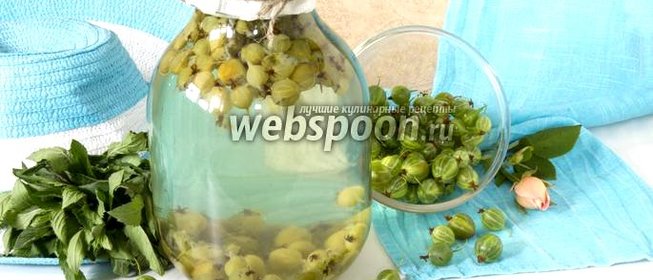 Компот из крыжовника и мяты