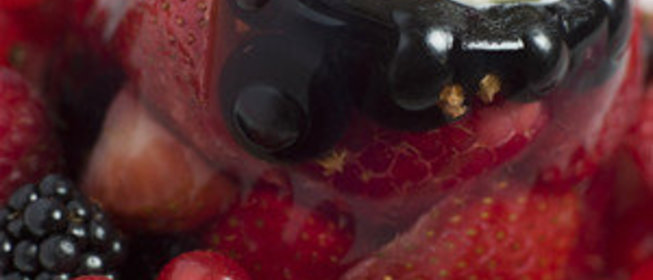 Летнее ягодное желе