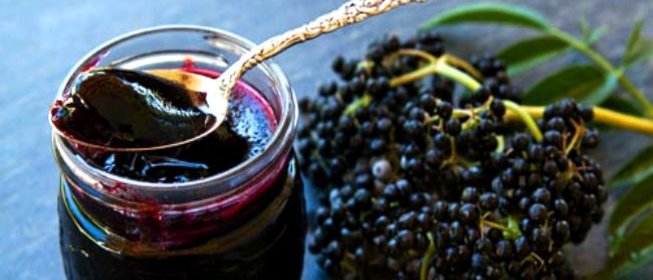Повидло из бузины