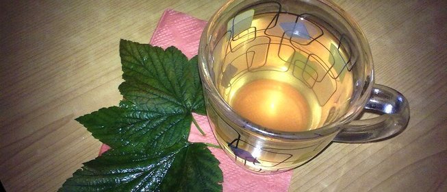 Чай из черной смородины