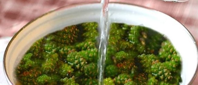 Варенье из сосны