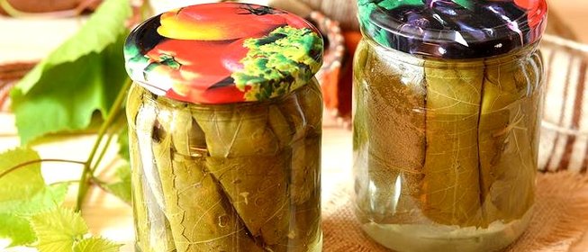Маринованные виноградные листья