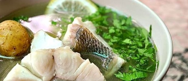 Уха из стерляди