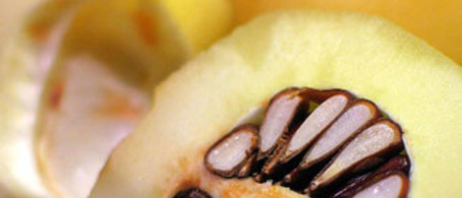 Омлет с айвой