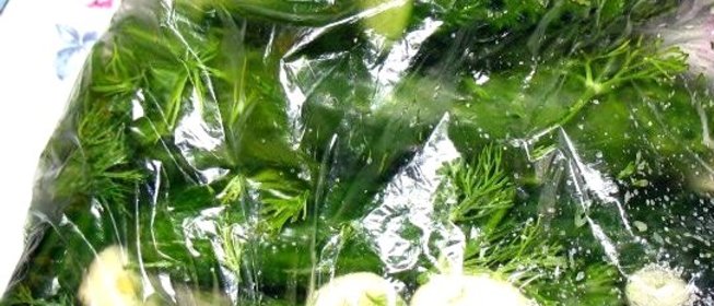 Малосольные огурцы в пакете в собственном соку