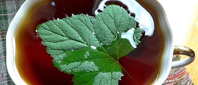 Чай с листьями смородины