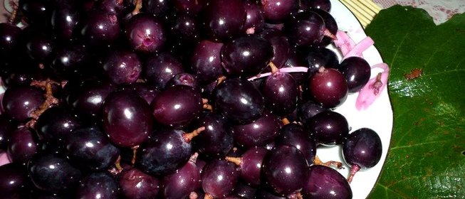 Моченый виноград с хреном